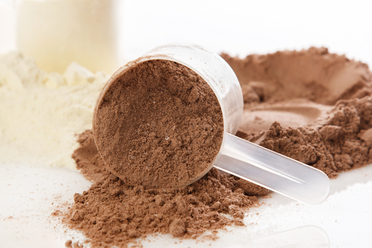 How do plant protein powders help solve the issue of bloating