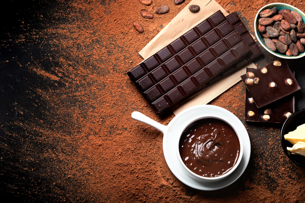 Unlocking Health Benefits: Plant Protein Infused With Chocolate
